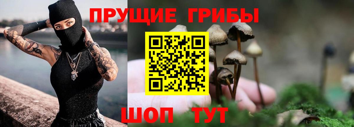 Галлюциногенные грибы Psilocybine cubensis Волгодонск